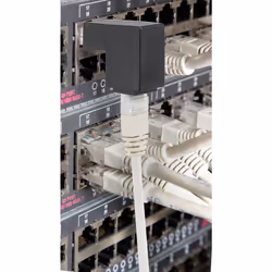 Renkforce RF-4087416 changeur de genre de câble RJ-45 Noir