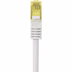 Renkforce RF-4149864, 1 m, Cat6a, S/FTP (S-STP), RJ-45, RJ-45
