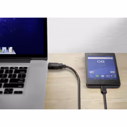Conrad 1460360 câble USB 1 m USB 3.2 Gen 2 (3.1 Gen 2) USB A USB C Noir