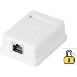 Renkforce - Prise réseau montage apparent (en saillie) cat 6 1 port KSV-ND10 blanc W095621