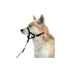 Collier d'éducation Dog Control type Halti Désignation : Dog Contol Taille : 2 / xs Type de race : Dog Contol morin 23002