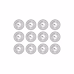Plaque de rechange pour plaque de test d'échelle PLPP, dimensions : diamètre 45 mm, contenu : 12 pièces.