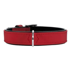 Hunter Collier pour Chien Softie Rouge (32-40 cm)