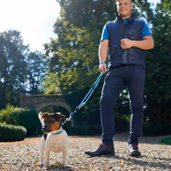 Hunter 47864 collier pour chiens et chats Bleu Nylon, Corde Chien Collier d'éducation