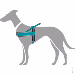 Hunter 60968 harnais pour chiens et chats M-L Noir, Bleu Nylon Chien Harnais de traction