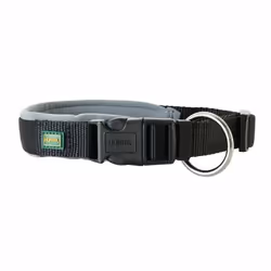 Hunter Collier pour Chien Noir