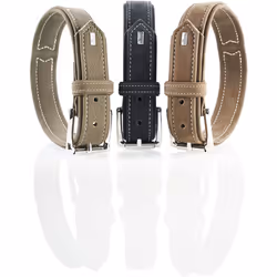 Collier pour chien Hunter Hunting