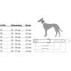 Hunter Collier pour Chien Neoprene Reflect Rouge - TU