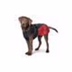 Manteau pour chien Hunter Uppsala Cozy - TU