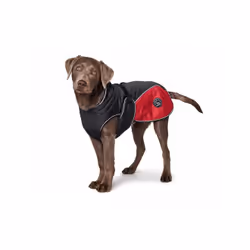 Manteau pour chien Hunter Uppsala Cozy