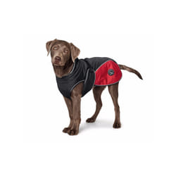 Manteau pour chien Hunter Uppsala Cozy