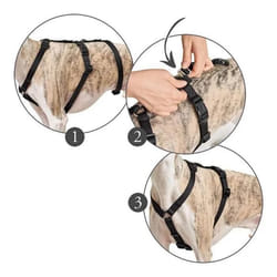 Hunter Harnais pour Chien 48-70 cm Noir S/M
