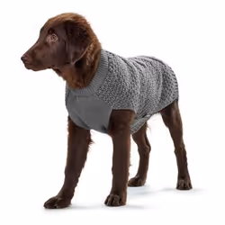 Hunter Pull pour chien Malmö