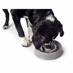 Hunter 66580 bol pour chiens et chats Chien Gamelle à nourriture pour animaux de compagnie