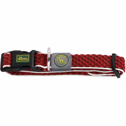 Hunter Collier pour Chien Basic Fil Rouge 20