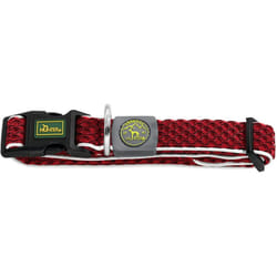 Hunter Collier pour Chien Basic Fil Rouge 20