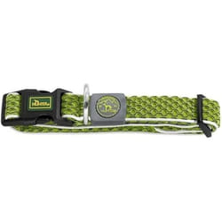 Hunter Collier pour Chien Basic Fil Citron 20