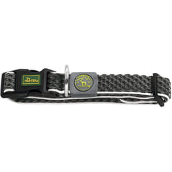 Hunter Collier pour Chien Basic Fil Taille M Anthracite (33-50 cm)