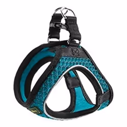 Hunter Harnais pour Chien Hilo-Comfort Turquoise XS/S (37-42 cm)