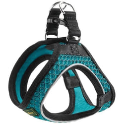 Hunter Harnais pour Chien Hilo-Comfort Turquoise S (42-48 cm)