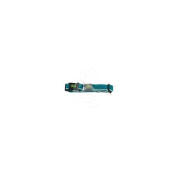 Hunter Collier pour Chien Turquoise 12