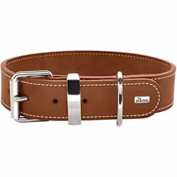 Hunter Collier pour Chien Aalborg Special Cognac