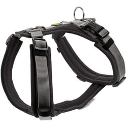 Hunter Maldon S-M Noir, Gris Nylon Chien Harnais avec laisse