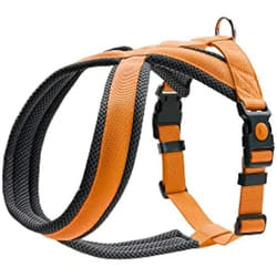 Hunter Harnais pour Chien London Comfort 63-82 cm Orange Taille M/L