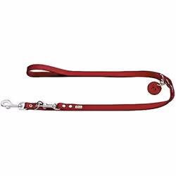 Laisse pour chien Hunter