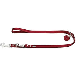 Laisse pour chien Hunter