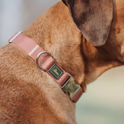 Hunter Inari Alu-Strong Rouge Polyester XL Chien Collier standard - Vue supplémentaire 6