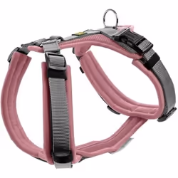 Harnais pour chien Hunter Maldon Up
