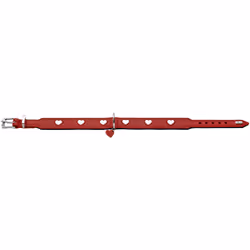 Hunter 069903 Rouge, Blanc Cuir S-M Chien Collier standard