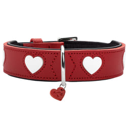Hunter 69904 collier pour chiens et chats Rouge, Blanc Cuir S-M Chien Collier standard