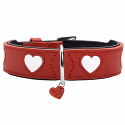 Hunter 69905, Chien, Collier standard, Rouge, Blanc, Cuir, Motif, Motif à cœur