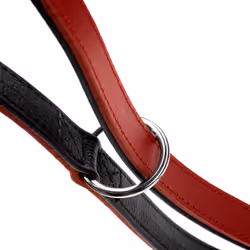 Hunter 69911 laisse pour chiens et chats 2 m Noir, Rouge Cuir Chien Laisse éducative