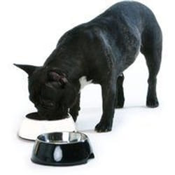 Hunter Mangeoire pour chiens Acier inoxydable Mélamine Noir (22 x 22 x 11,5 cm)