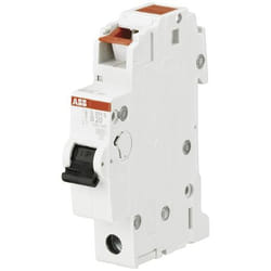 ABB 2CDS251002R0064 coupe-circuits 1