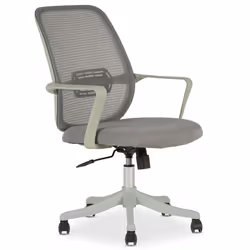 Chaise de bureau ergonomique MOLLIS Gris Réglable en hauteur avec Accoudoirs Assise Rembourrée Confortable