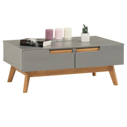 Idimex - Table basse tibor, 2 tiroirs et 2 niches, lasuré gris