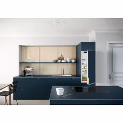 Liebherr DRe 4101 Pure frigo combine Intégré 182 L E
