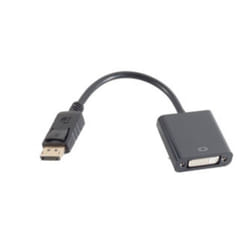 S-Conn BS14-05010 câble vidéo et adaptateur DisplayPort DVI Noir
