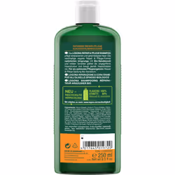 LOGONA Repair & Pflege Shampoo Bio-sanddorn 250 ml Shampoing Non-professionnel Femmes