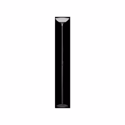 Plantana Indice de protection intérieur IP 20. Dimensions : H 180 cm. L 28cm e D 28cm Couleur structure Titan Ampoule incluse ...