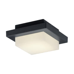 Plafonnier/Applique Led étanche 3.5W Trio Hondo