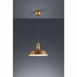 Type de suspension intérieure Degré de protection IP20 Annexe E27 Puissance maximale 60W (pour les ampoules halogènes) Dimens ...