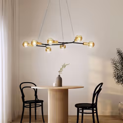 Description Cette lampe suspendue impressionne par son design extraordinaire de style rétro. De couleur noir mat, elle se ram ...