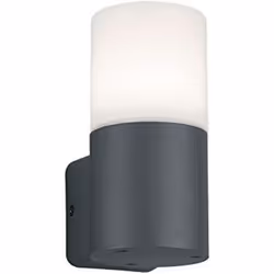 Trio Lighting - Applique murale extérieure anthracite avec ou sans détecteur - Trio - Hoosic