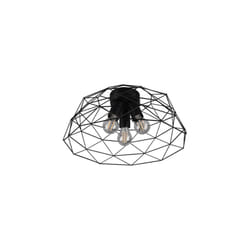 TRIO HAVAL éclairage de plafond Noir E27