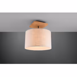 Le plafonnier ELMAU par Trio Lighting est composé d'une structure simple en métal finition nickel antique avec une plaque de  ...